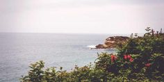 an ocean view with trees and bushes in the foreground, and a rock outcropping to the right