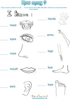 an image of different parts of the body and their functions in english speaking it's easy to understand