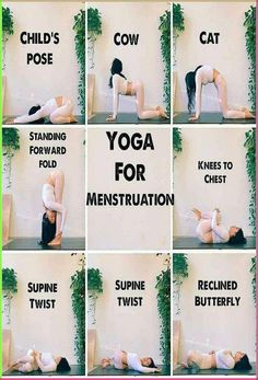 Regulate your menstruation with yoga: 8 yoga poses to regulate your irregular menstrual cycle naturally. Image credit: FB page: Mysportslounge #yoga #8 poses #regulate #menstruation #yoga flow #menstrual cycle #naturally #yoga fitness #health #yoga exercise #yoga workout #yoga pose #health yoga Menstruation Workout, Yoga Menstruation, Yoga Forward Fold, Menstrual Yoga, Cycle Synching, Period Yoga, Standing Yoga, Cat Cow Pose, Irregular Menstrual Cycle