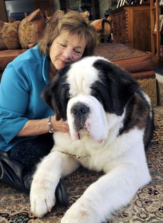 a woman sitting on the floor petting a large black and white dog's head