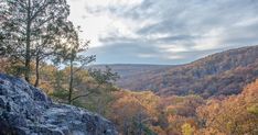 a scenic view of trees and mountains in the fall