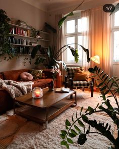 a living room filled with furniture and lots of plants on top of the floor next to a window