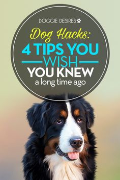 a black and white dog with a sign over its head that says, dog hacks 4 tips you wish you knew a long time ago