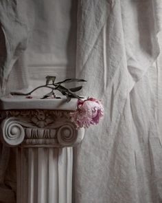 a pink flower sitting on top of a white column