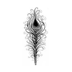 a black and white drawing of a peacock's tail