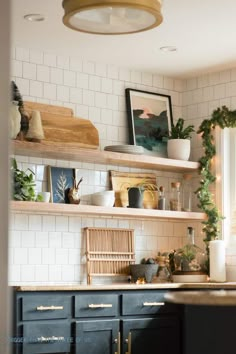 the kitchen is decorated with plants and other things