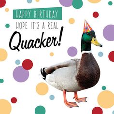 a duck with a party hat on it's head