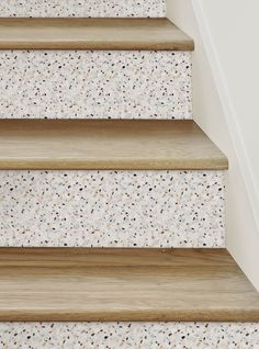 a cat sitting on top of a wooden step next to a carpeted stair case