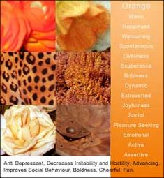 an orange poster with different types of flowers