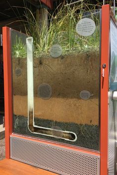 the inside of a glass case with plants growing out of it and writing on them