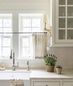 a white kitchen with two windows and a sink in front of the window is a potted plant