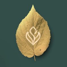 a green leaf with a white design on it's back side is featured in this image