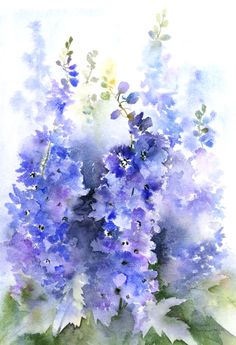 watercolor painting of blue flowers on white background