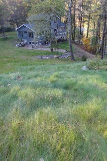 an aerial view of a house in the woods with lots of grass on the ground