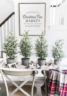 christmas tree market with potted trees in buckets and plaid blanket on bench next to stairs