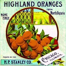 an old poster advertising oranges from north ontario