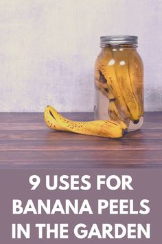 bananas in a jar with the words, 9 uses for banana peels in the garden