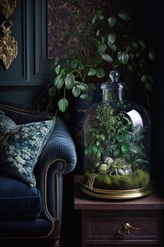 Plants inside terrarium on table with blue velvet dark academia aesthetic couch Dark Academia Living Room, Dark Academia Interior, Beautiful Terrariums, Dark Academia Decor, Dark Home Decor, Dark Home, Terraria, Terrarium Plants