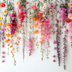 colorful flowers are hanging on the wall