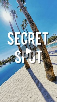 the words secret spot are placed between two palm trees on a beach with water in the background