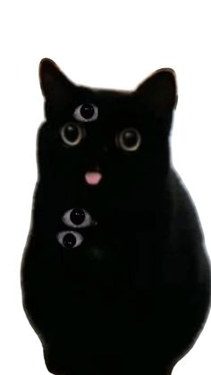 a black cat with three eyes on it's face