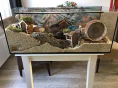 a fish tank filled with lots of different types of animals and plants on top of a table