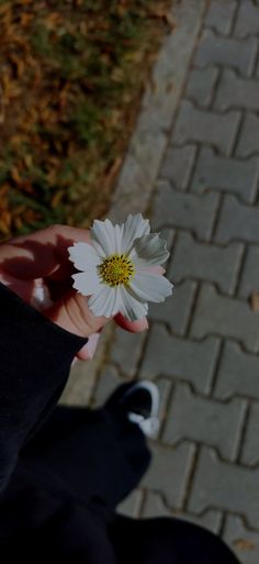 a person holding a white flower in their hand on a brick walkway next to grass