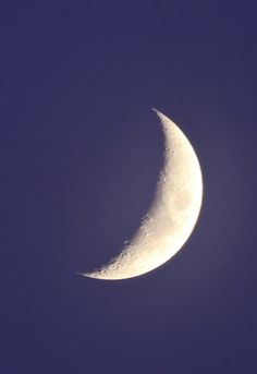 the half moon is visible in the blue sky