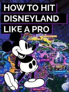 the cover of how to hit disneyland like a pro, with an image of mickey mouse