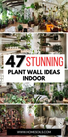 Plant Tv Wall Ideas Indoor, Plant Wall Ideas Indoor Diy, Plant Wall With Grow Lights, Wall Shelves Plants, Decorating With Plants Indoors, Plant Shelves Wall, Plant Wall Shelf Ideas, Plant Wall Indoor, Plant Wall Ideas Indoor