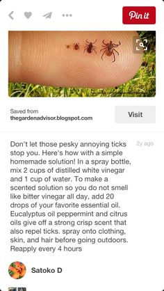 Spider Repellent, Diy Spider, Tick Spray, Household Pests, Sick Remedies