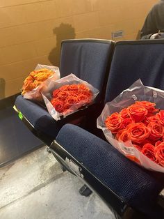 two bags filled with flowers sitting on top of blue seats