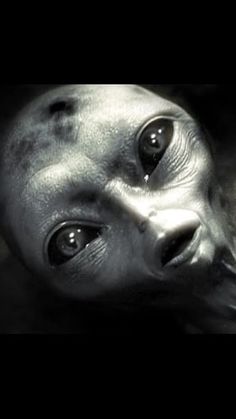 an alien head is shown in this black and white photo, with the eyes open