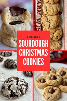 the best sourdough christmas cookies