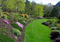 a lush green park with lots of flowers and trees