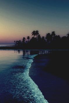 the sun is setting over the ocean with palm trees in the background and waves coming in to shore