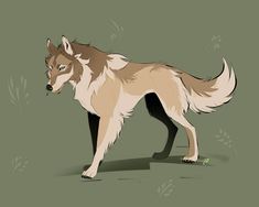 a drawing of a wolf standing in front of a green background with the words,'forest