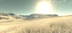 the sun shines brightly over a snowy mountain range with tall grass and snow covered mountains in the background