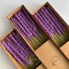 three boxes filled with purple flowers on top of a table