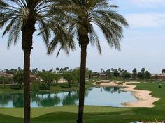 palm trees are in front of a golf course