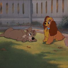 lady and the tramp laying on grass in front of a fence with another dog