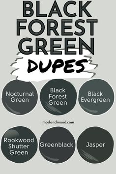 Benjamin Moore Black Forest Green (Review and Dupes!) – Mod & Mood Benjamin Moore Dark Forest Green, Enchanted Forest Paint Color, Benjamin Moore Green Black, Black And Hunter Green Bedroom, Deep Forest Green Paint, Black Forest Paint Benjamin Moore, Black Forest Benjamin Moore, Green Black Exterior House, Black Forest Green Benjamin Moore Kitchen Cabinets