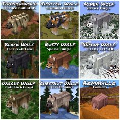 the different types of animals and their names in minecraft, including an animal that looks like