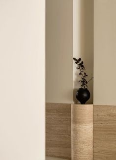 a black vase sitting on top of a wooden shelf next to a white wall with a plant in it