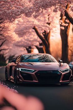 two cars driving down the road under cherry blossom trees