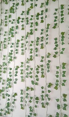 ivy growing on the side of a wall in front of a white background with green leaves