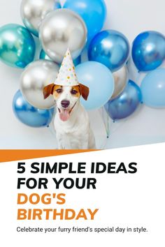 a dog wearing a party hat with balloons in the background that says, 5 simple ideas for your dog's birthday