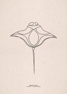 a drawing of a flower on a white background