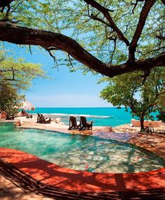 an outdoor swimming pool surrounded by trees and the ocean in the background with people lounging on lounge chairs