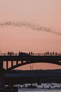 a flock of birds flying over a bridge at sunset with people on the other side